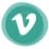 vimeo icon