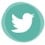 twitter icon
