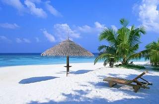 Wedding & Honeymoon Suppliers in the Bahamas