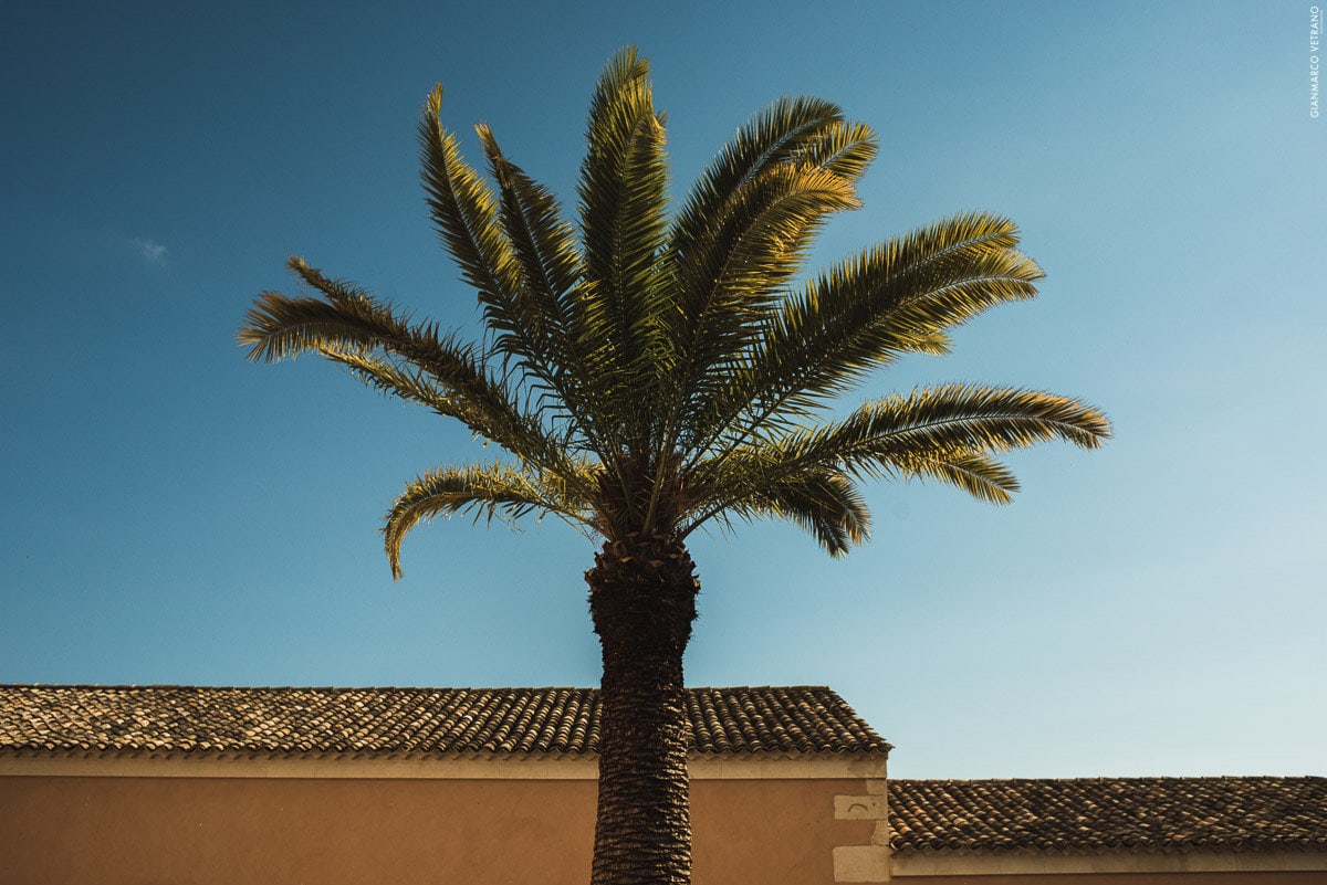 Stephen & Amanda's Irish American Wedding in Sicily Planned by Sicilian Wedding Day Photography by Gianmarco Vetrano 