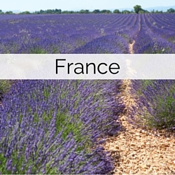 Wedding Abroad Destinations in France