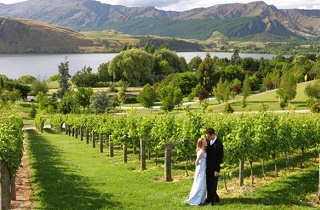 Wedding Guide New Zealand