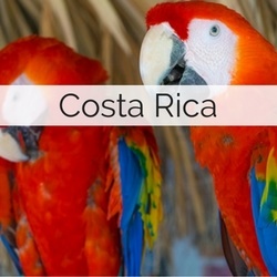 Wedding Suppliers in Costa Rica